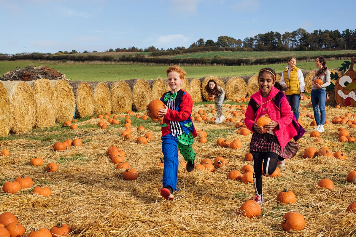 Fall Events In Northern New Jersey Blog